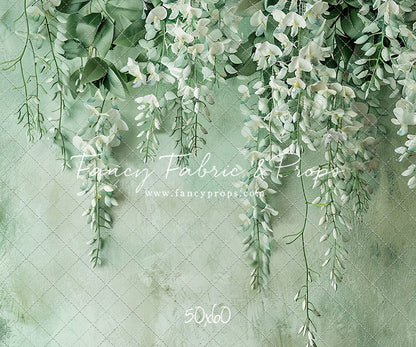 Painted White Wisteria