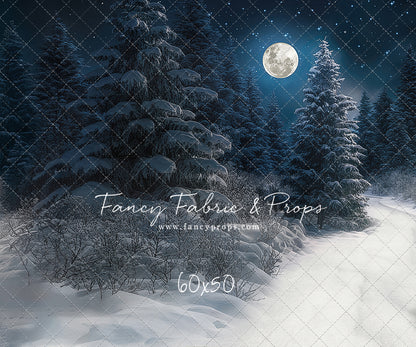 Santa Claus Candy Shop Forest