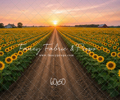 Sunflower Road - With Sweep Option