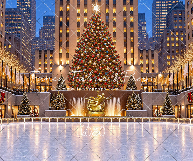 Wintertime Skating Rink - with Sweep Option