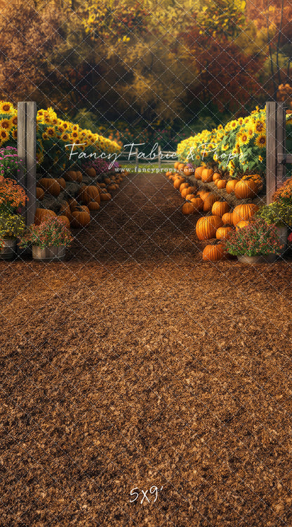 Sunflower Valley Trail - With Sweep Option