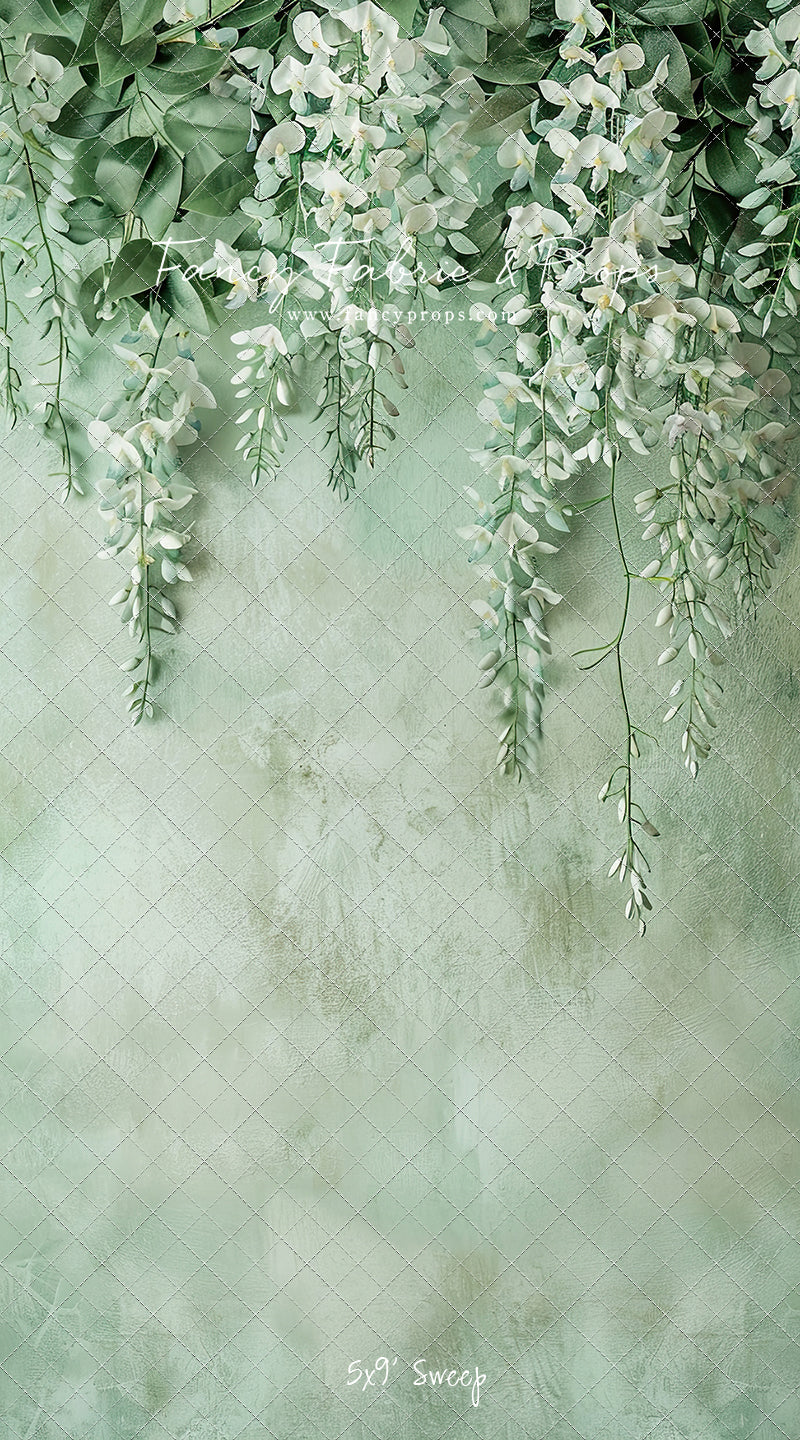 Painted White Wisteria