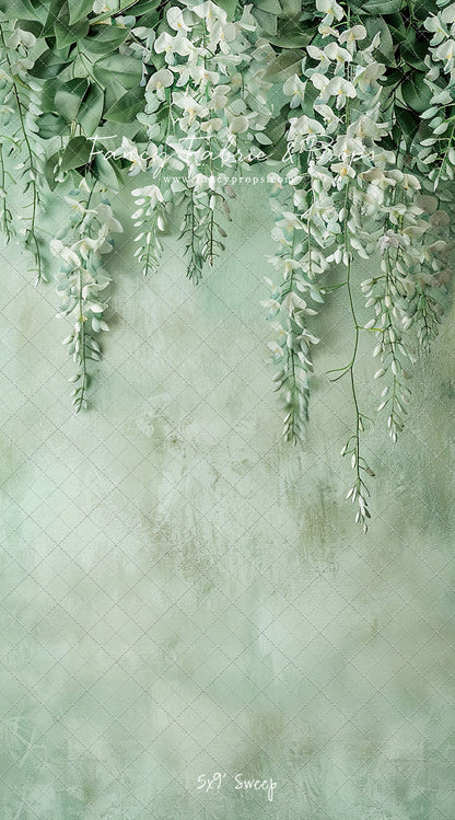 Painted White Wisteria