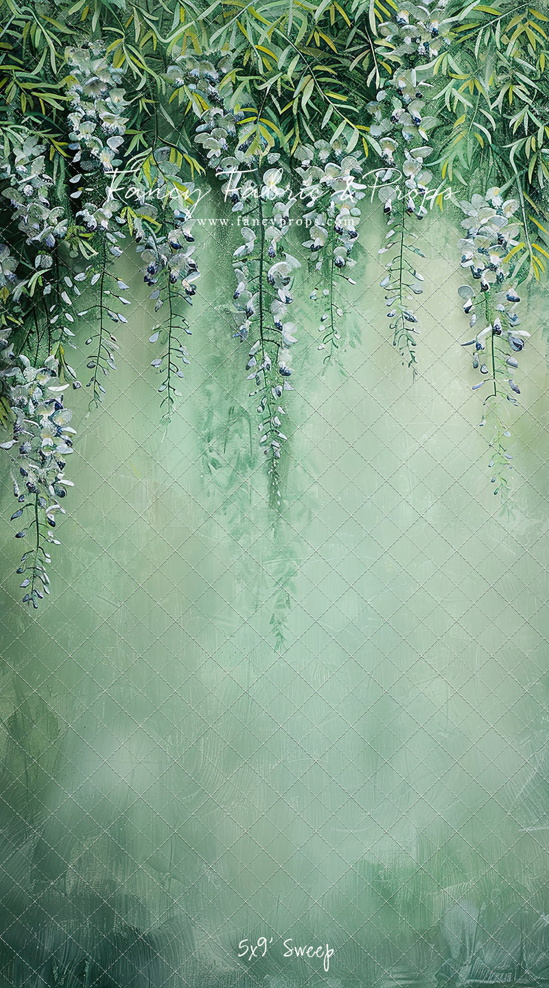 Painted Wisteria