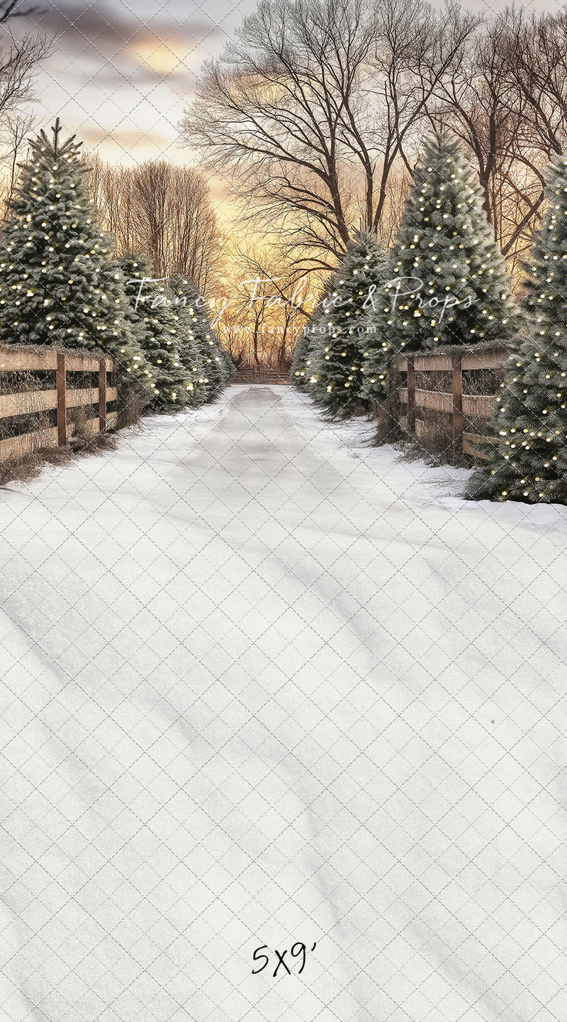 Twinkling Pines Trail - With Sweep Option