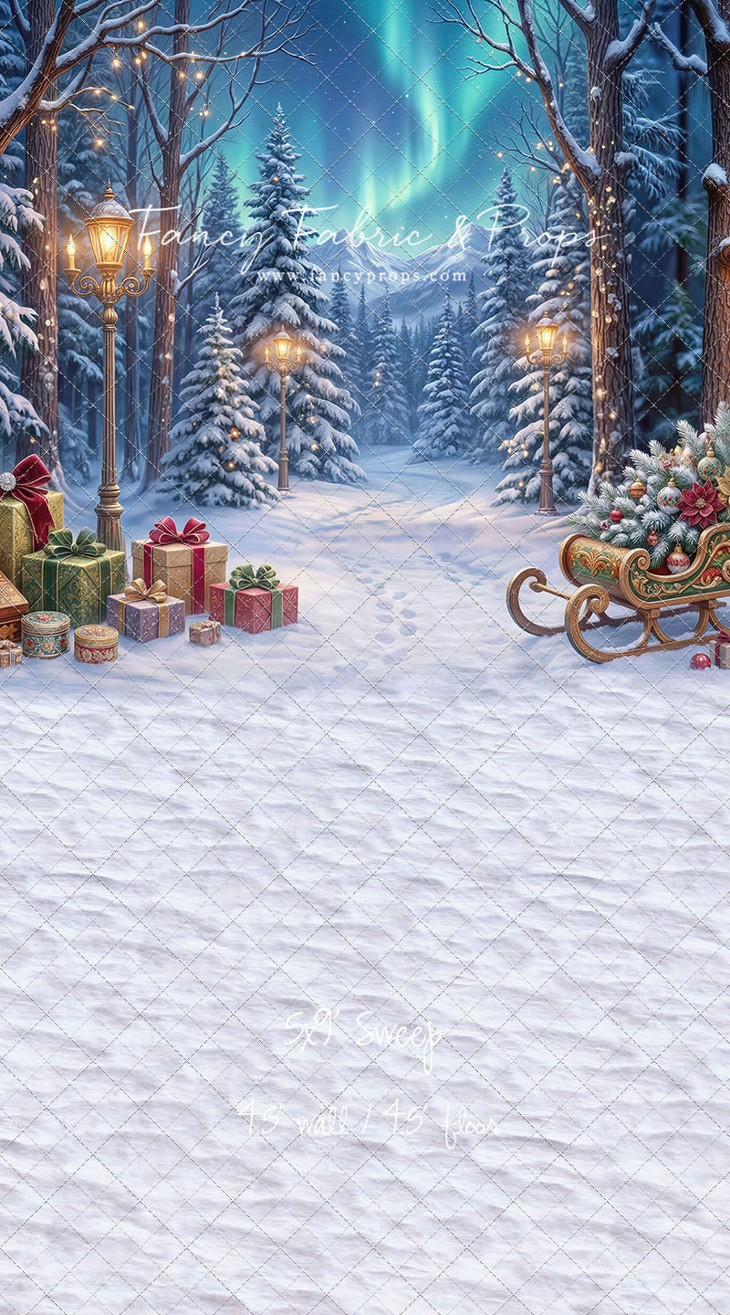 Aurora Winter Walk - with Sweep Option