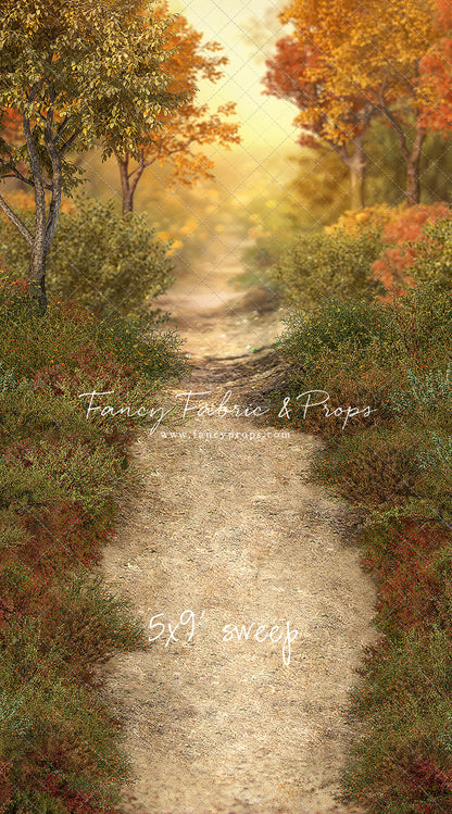 Autumn Forest Path - With Sweep Option