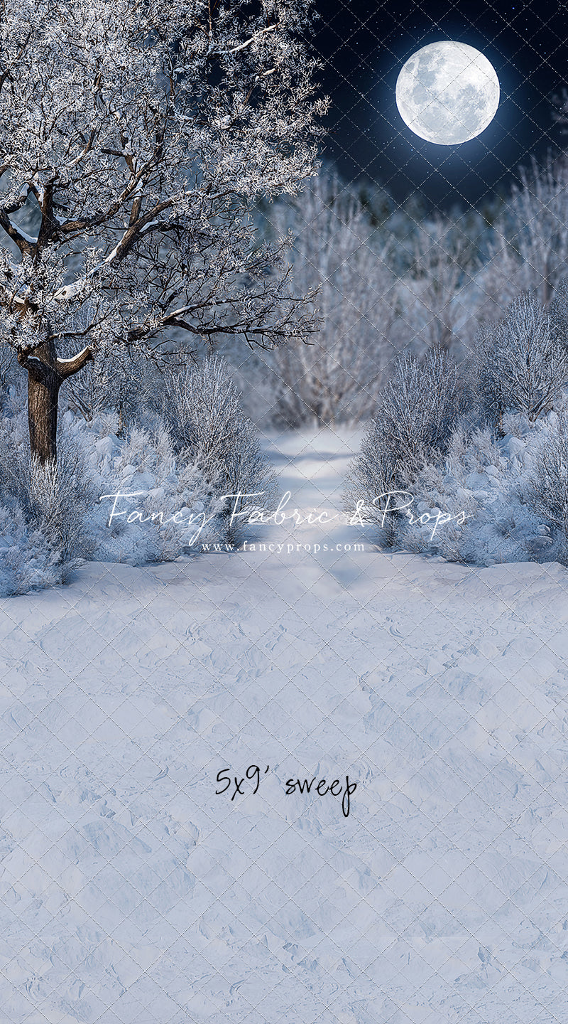 Frosty Winter Night - with Sweep Option