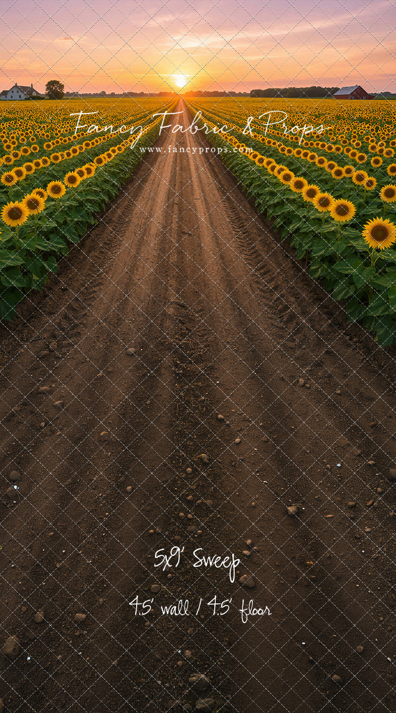 Sunflower Road - With Sweep Option