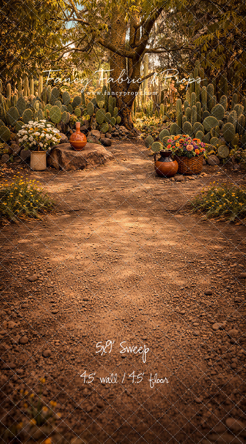 Sunlit Cactus Garden - With Sweep Option