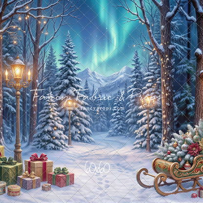 Aurora Winter Walk - with Sweep Option