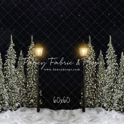 Christmas Forest Path