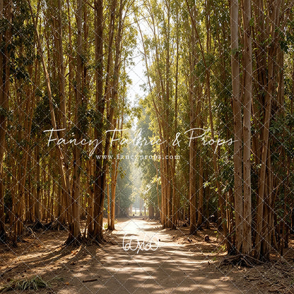 Eucalyptus Forest - With Sweep Option