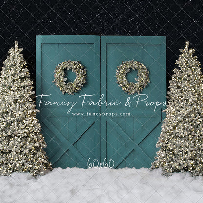 Fancy Blue Barn Doors