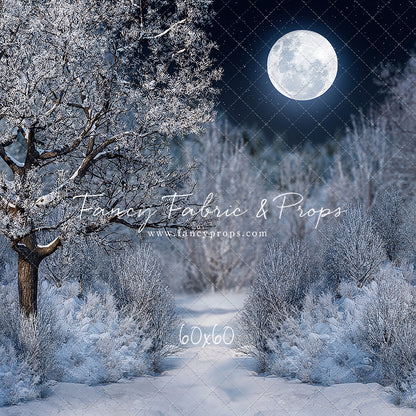 Frosty Winter Night - with Sweep Option