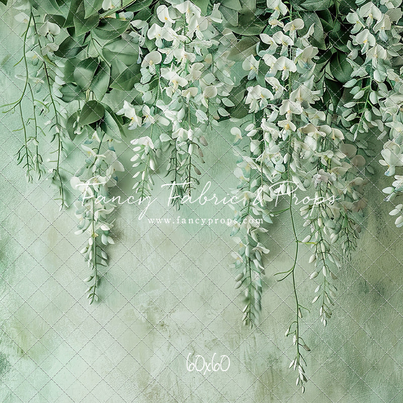 Painted White Wisteria