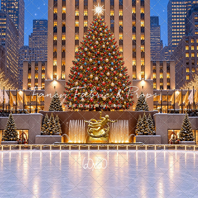 Wintertime Skating Rink - with Sweep Option