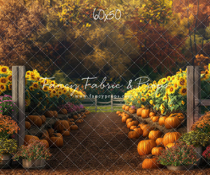 Sunflower Valley Trail - With Sweep Option