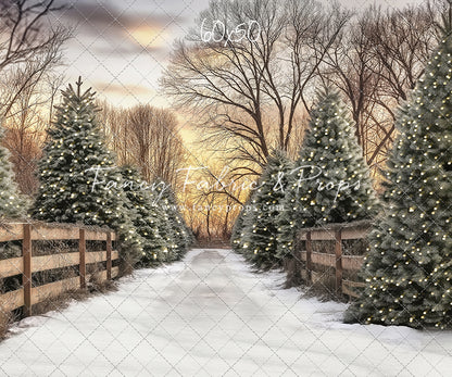 Twinkling Pines Trail - With Sweep Option