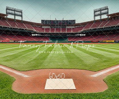 View From Home Plate - With Sweep Option
