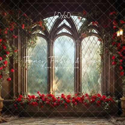 Belle's Castle Window