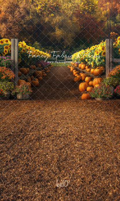 Sunflower Valley Trail - With Sweep Option