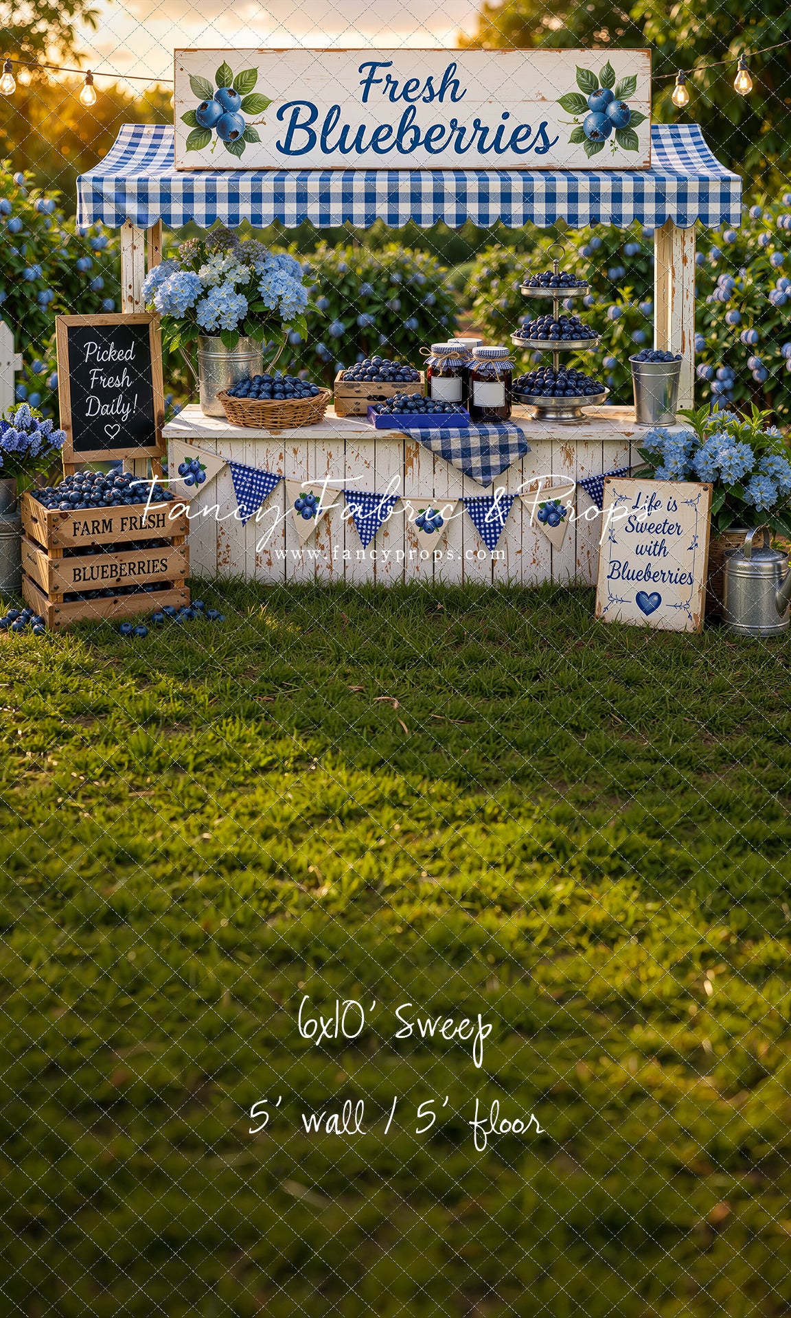 Blueberry Patch Market - With Sweep Option