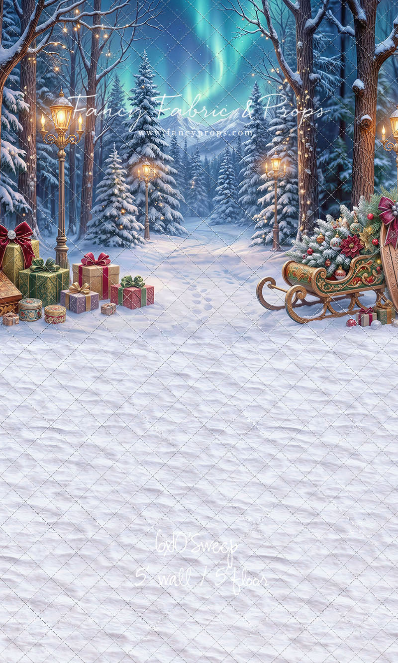 Aurora Winter Walk - with Sweep Option