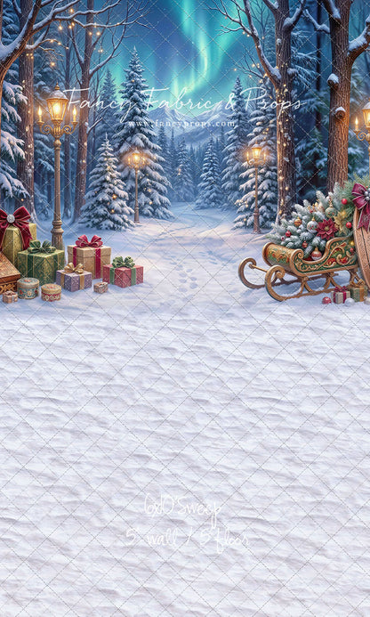Aurora Winter Walk - with Sweep Option