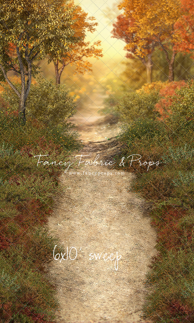 Autumn Forest Path - With Sweep Option