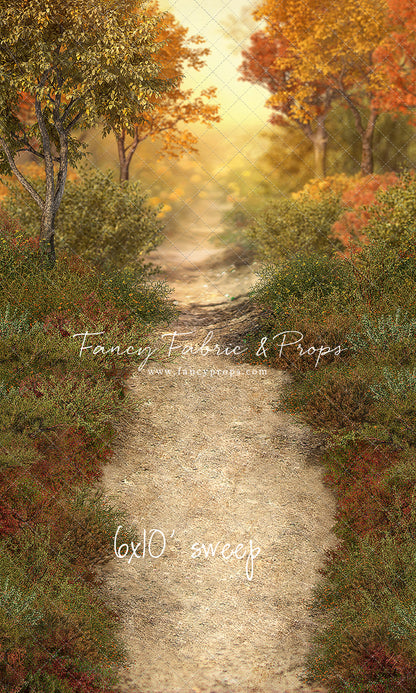 Autumn Forest Path - With Sweep Option