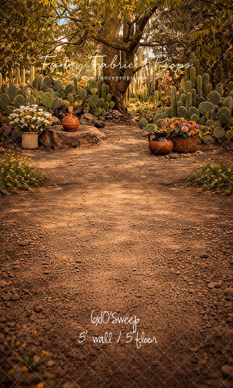Sunlit Cactus Garden - With Sweep Option