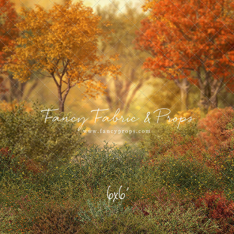 Autumn Forest Path - Mini Room