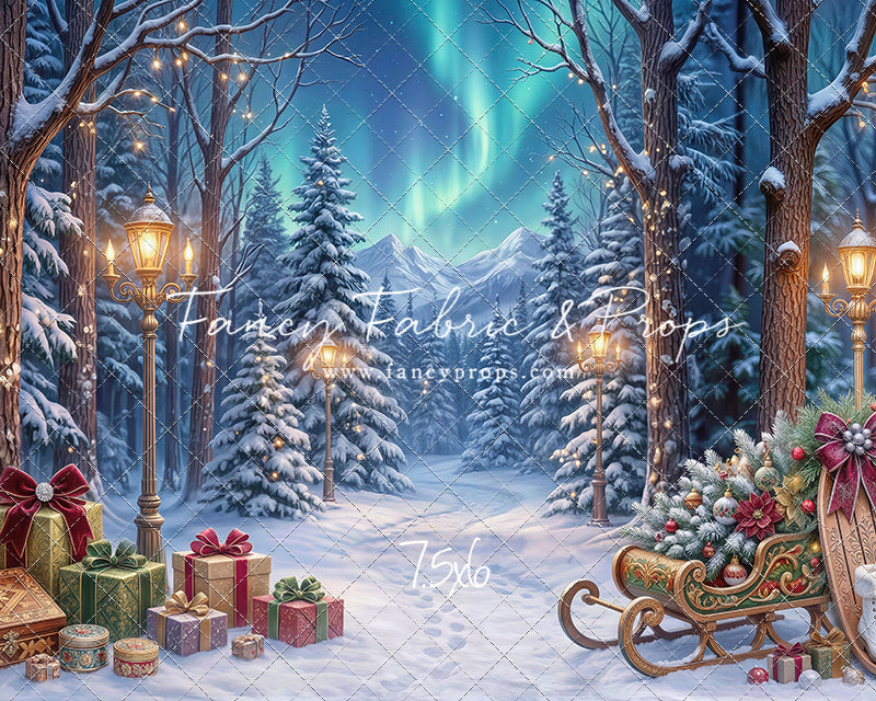 Aurora Winter Walk - with Sweep Option