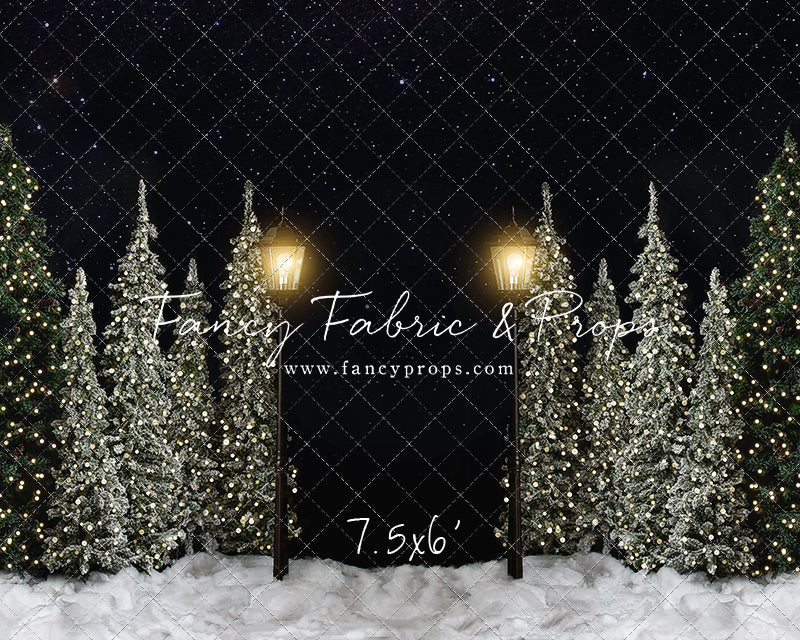 Christmas Forest Path