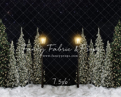 Christmas Forest Path