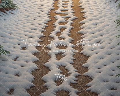 Christmas Path - Floor