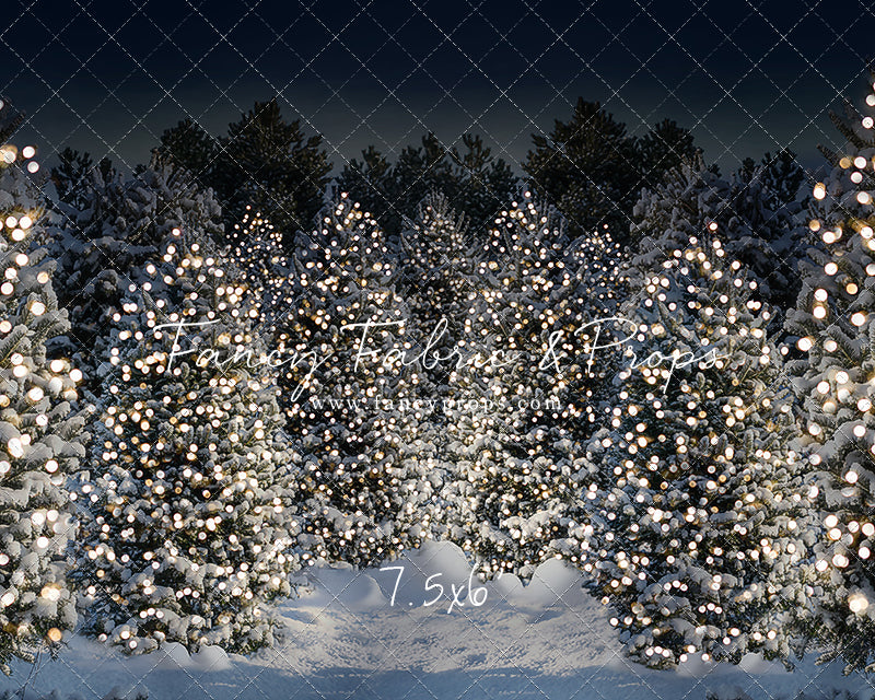 Evening Snowy Winter Tree Farm - No Gate