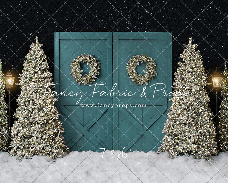 Fancy Blue Barn Doors