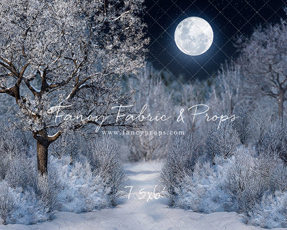 Frosty Winter Night - with Sweep Option