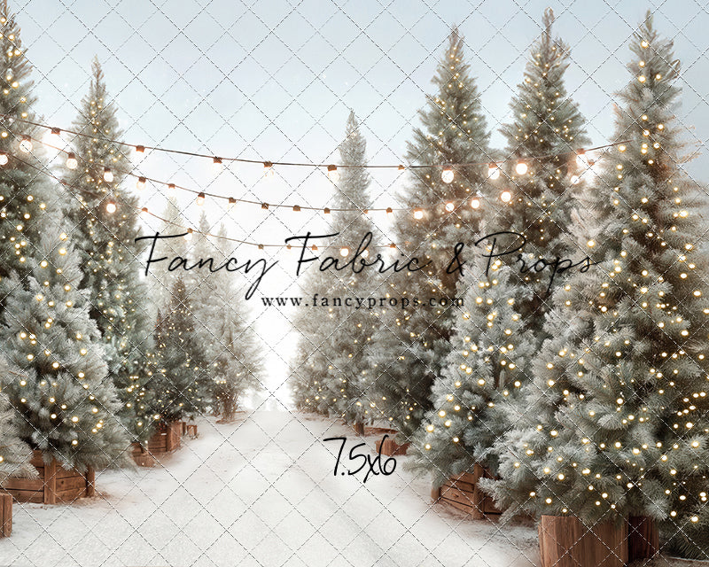 Holiday Tree Lot - with Sweep Option