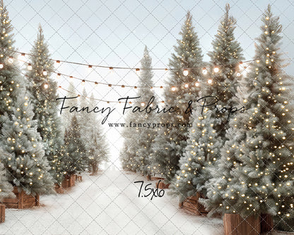 Holiday Tree Lot - with Sweep Option