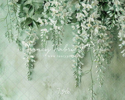 Painted White Wisteria