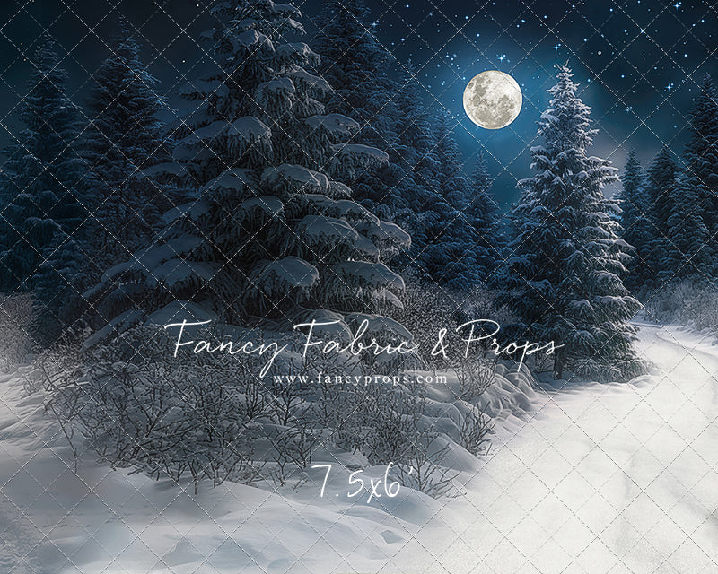 Santa Claus Candy Shop Forest