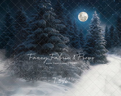 Santa Claus Candy Shop Forest