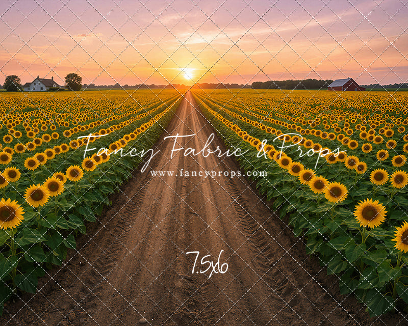 Sunflower Road - With Sweep Option