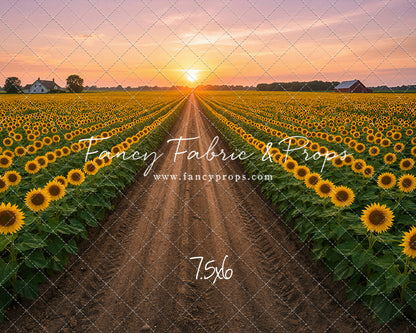 Sunflower Road - With Sweep Option