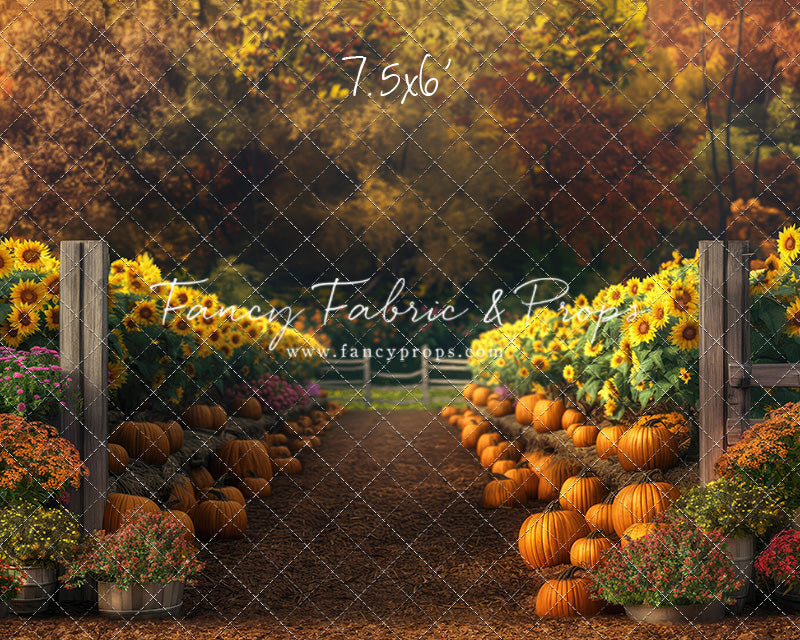 Sunflower Valley Trail - With Sweep Option