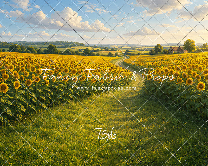 The Sunflower Way - With Sweep Option