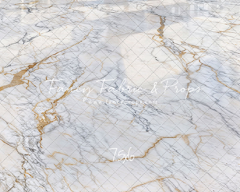 Winter in Versailles - Floor